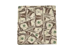 Chefanie Money Napkins (4) Discount