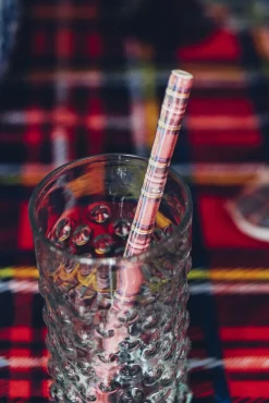 Chefanie Tartan Ceramic Straws (4) Best